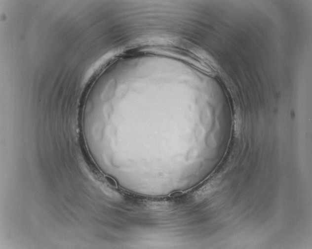 X0000062900438200602031836