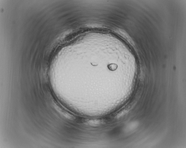 X0000062900441200602031836