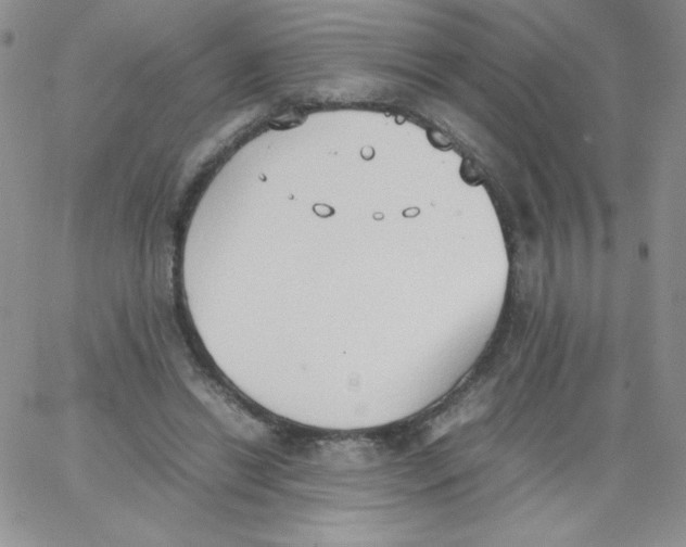 X0000062900446200602031836