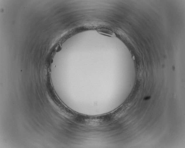 X0000062900448200602031836