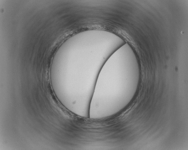 X0000062900449200602031836