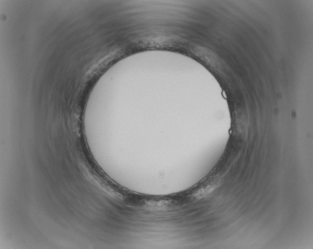 X0000062900450200602031836