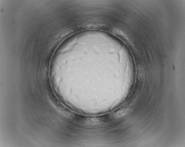 X0000062900451200602031836