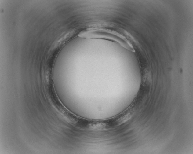 X0000062900452200602031836