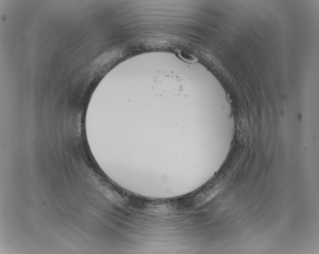 X0000062900454200602031836