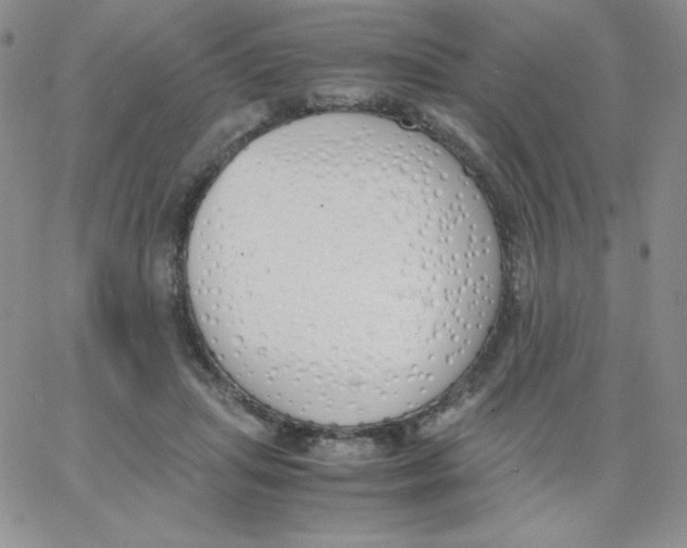 X0000062900455200602031836