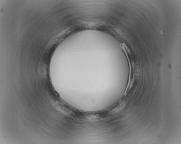 X0000062900456200602031836