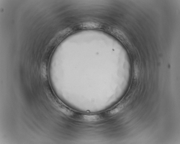 X0000062900457200602031836