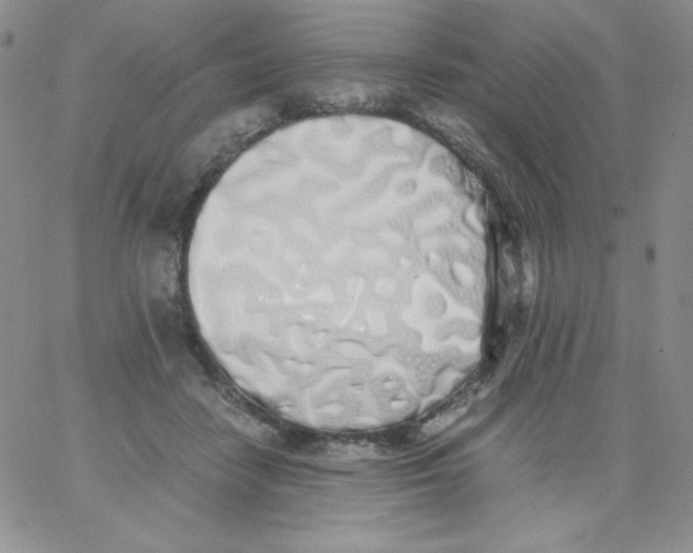 X0000062900458200602031836