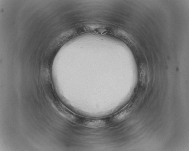 X0000062900459200602031836