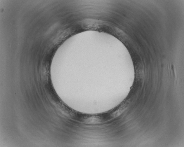 X0000062900460200602031836