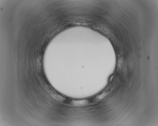 X0000062900461200602031836