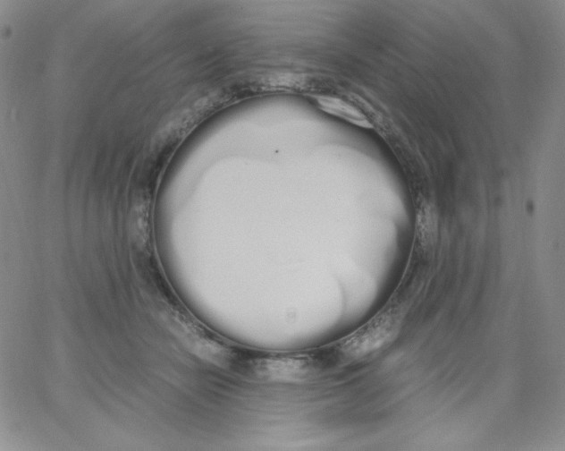 X0000062900462200602031836