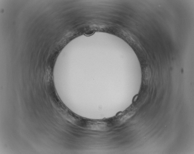 X0000062900463200602031836