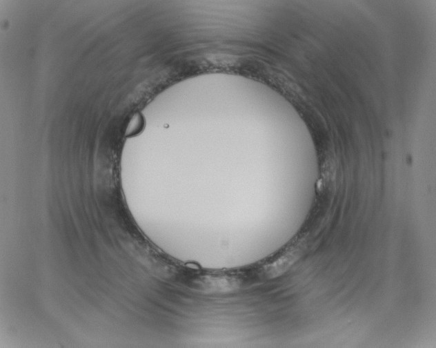 X0000062900464200602031836