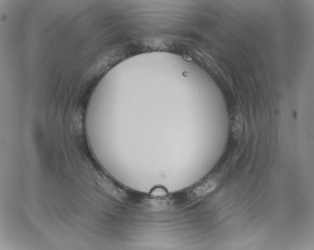 X0000062900466200602031836