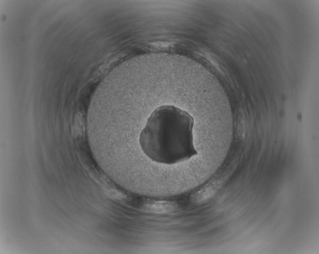 X0000062900467200602031836