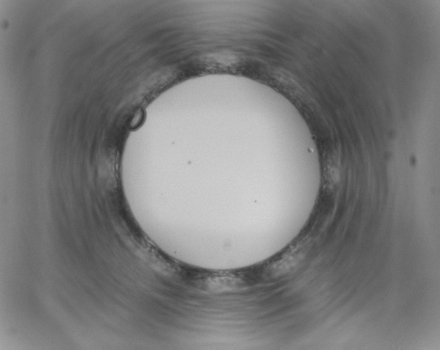 X0000062900468200602031836