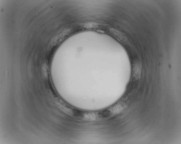 X0000062900470200602031836