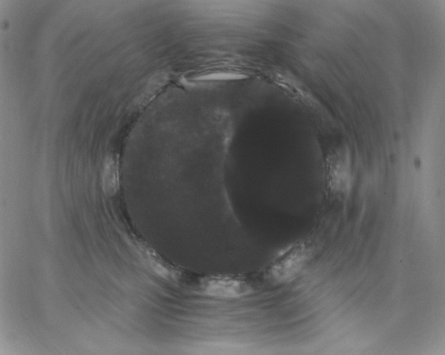 X0000062900471200602031836