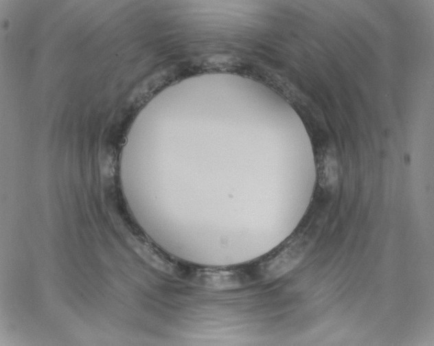 X0000062900472200602031836