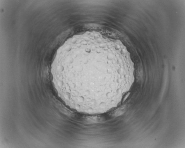 X0000062900473200602031836