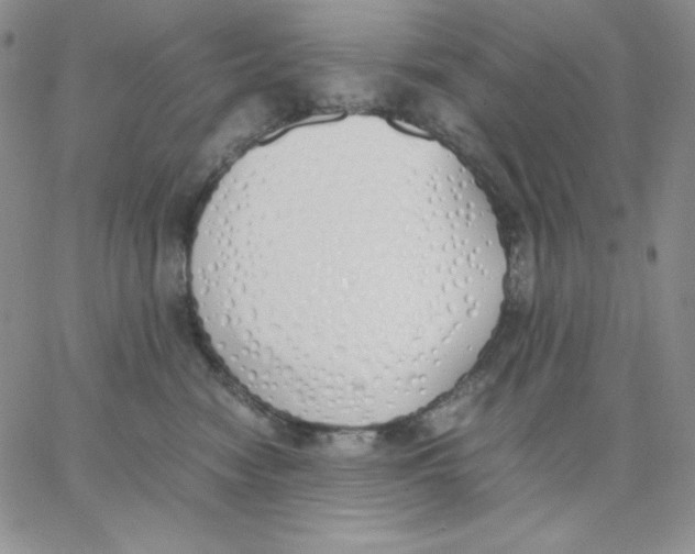 X0000062900474200602031836