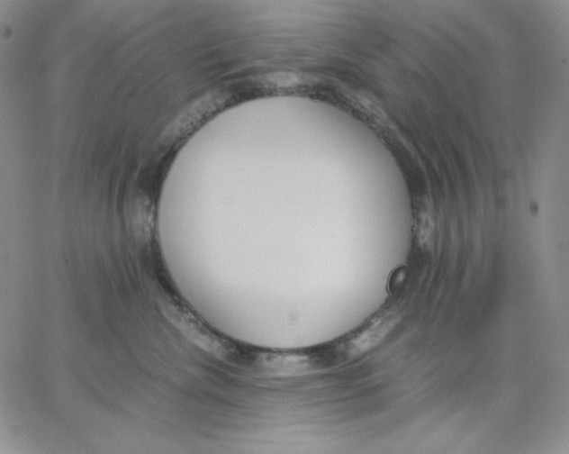 X0000062900476200602031836