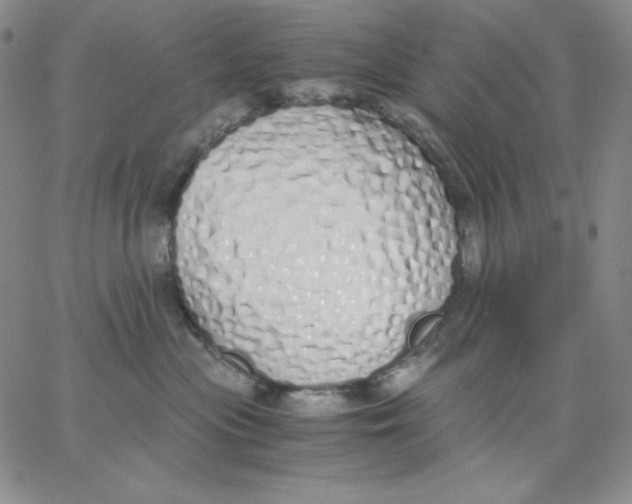 X0000062900477200602031837