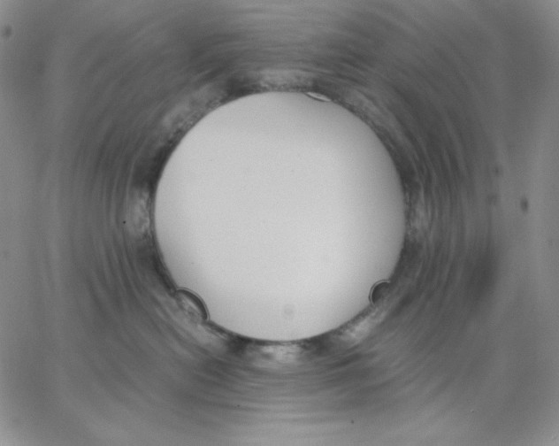 X0000062900478200602031837