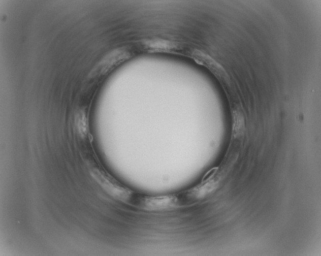 X0000062900479200602031837