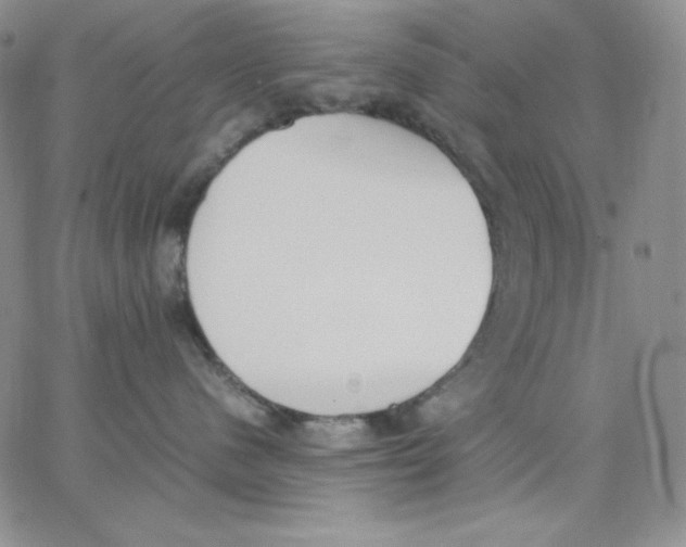 X0000062900480200602031837