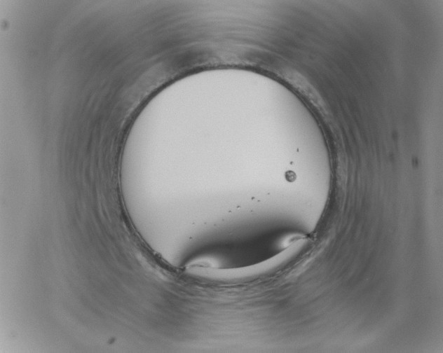 X0000062900481200602031836