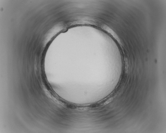 X0000062900482200602031836