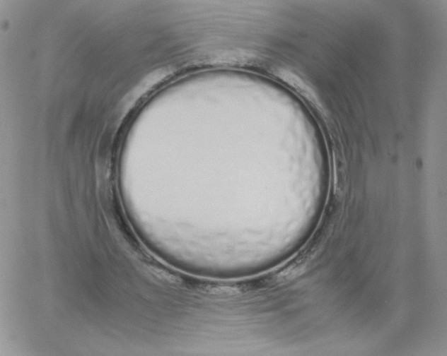 X0000062900483200602031836