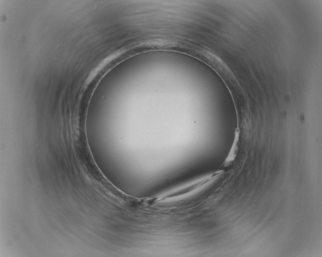 X0000062900484200602031836