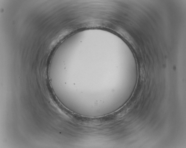 X0000062900485200602031836