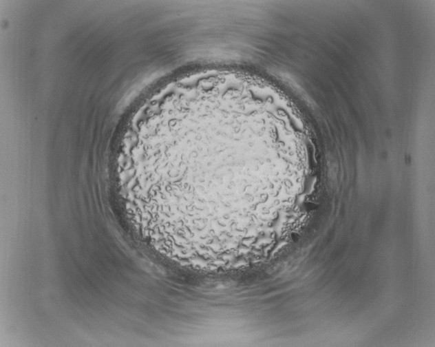 X0000062900487200602031836