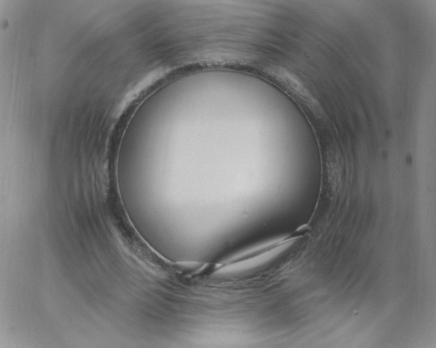 X0000062900488200602031836