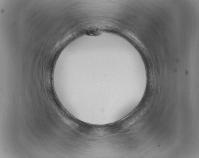 X0000062900489200602031836