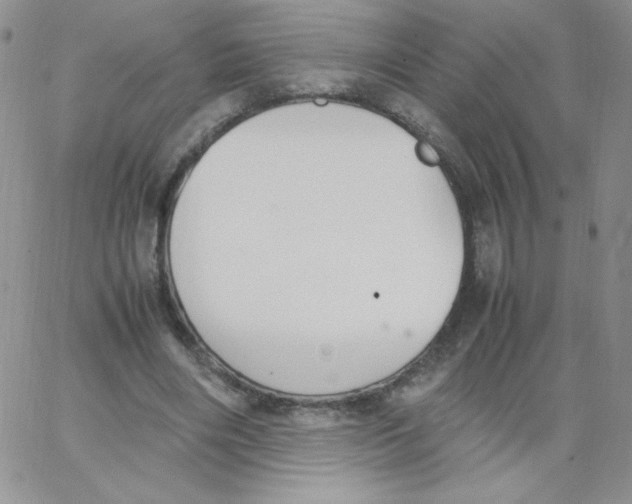 X0000062900490200602031836