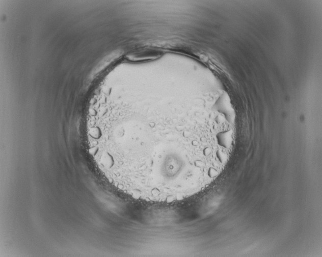 X0000062900491200602031836