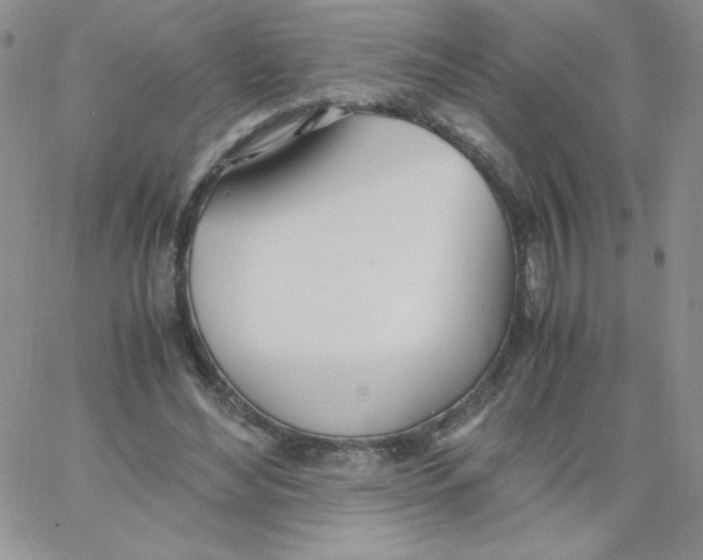 X0000062900492200602031836