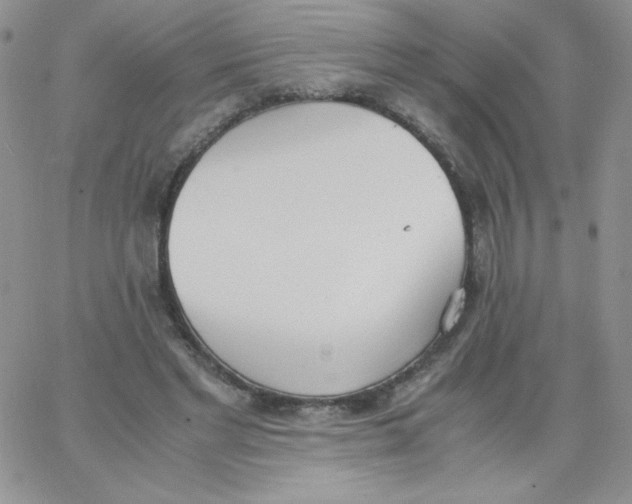 X0000062900493200602031836