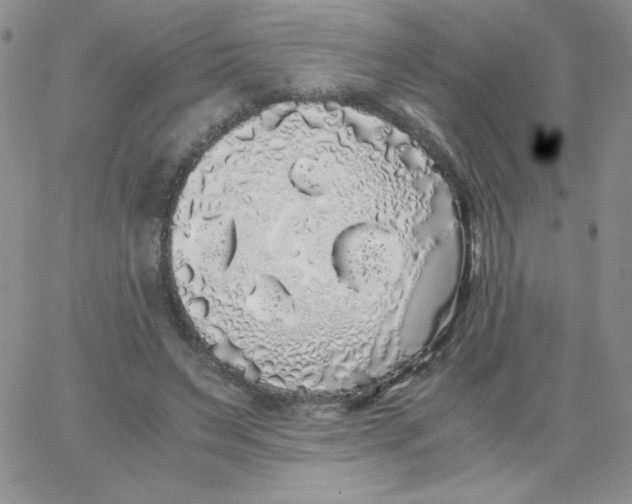 X0000062900495200602031836