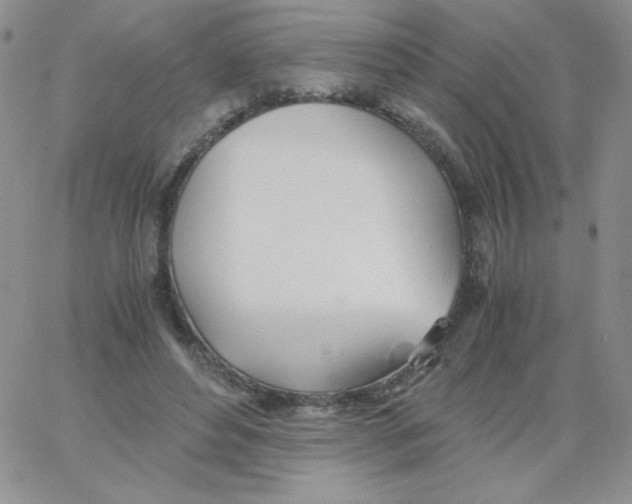 X0000062900496200602031836