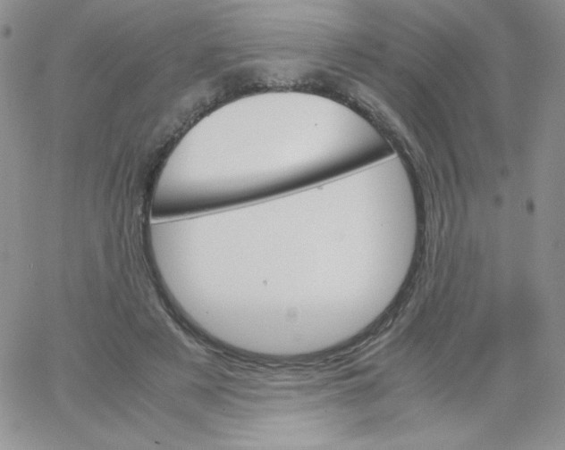 X0000062900497200602031836