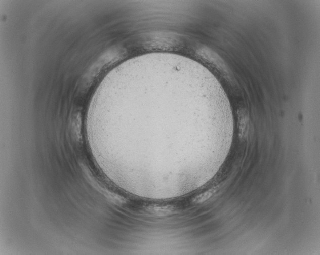 X0000062900498200602031836