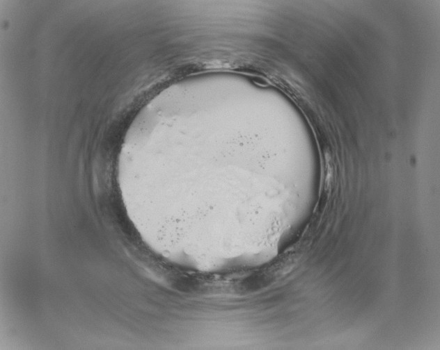 X0000062900499200602031835