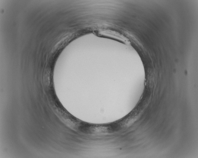 X0000062900501200602031835